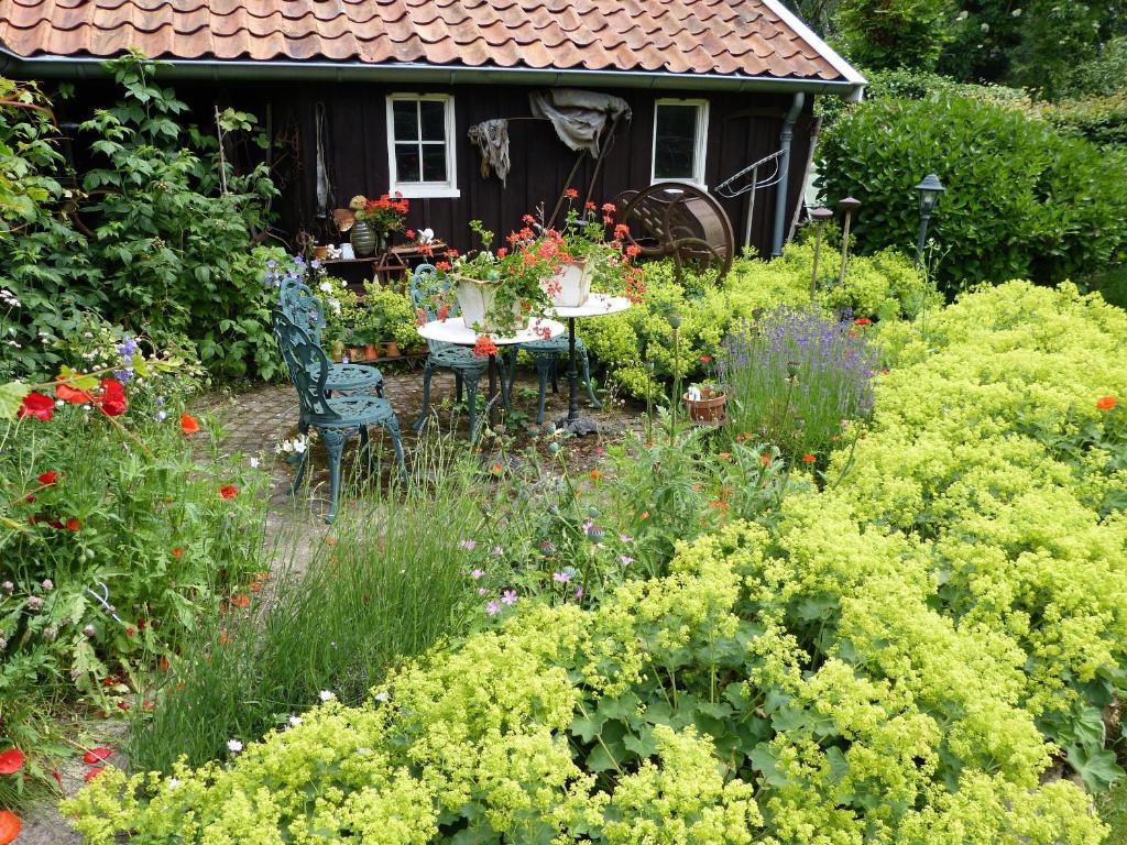 B&B En Appartementen Triente Buinen Eksteriør billede